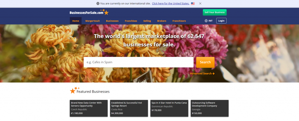 Business For Sale listing site
